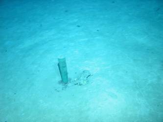 Shell casing on seabed